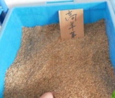使用煙臺海藻酸鈉的應用都有哪些范圍？